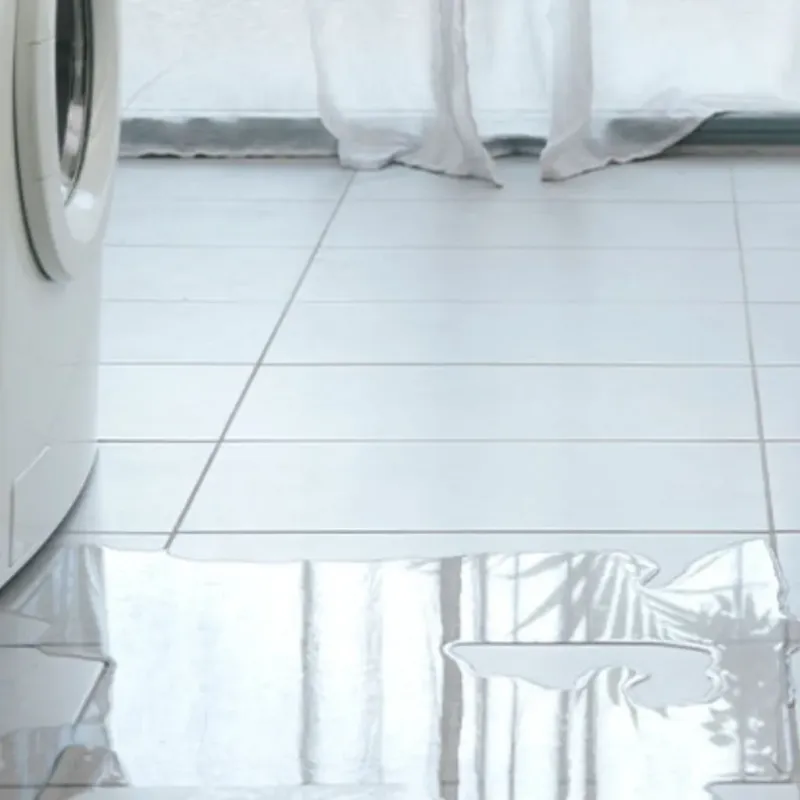 Appliance Leak Cleanup in The Crossings, FL