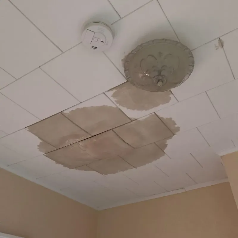Ceiling Water Damage Repair in The Crossings, FL