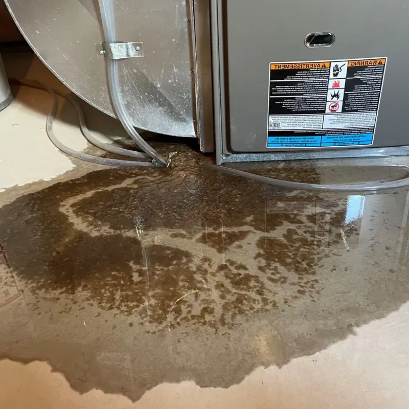 Pipe Burst and Leak Restoration in The Crossings, FL